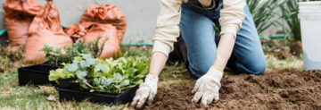 Ask Derm Centers: How Should Gardeners Protect Their Skin?